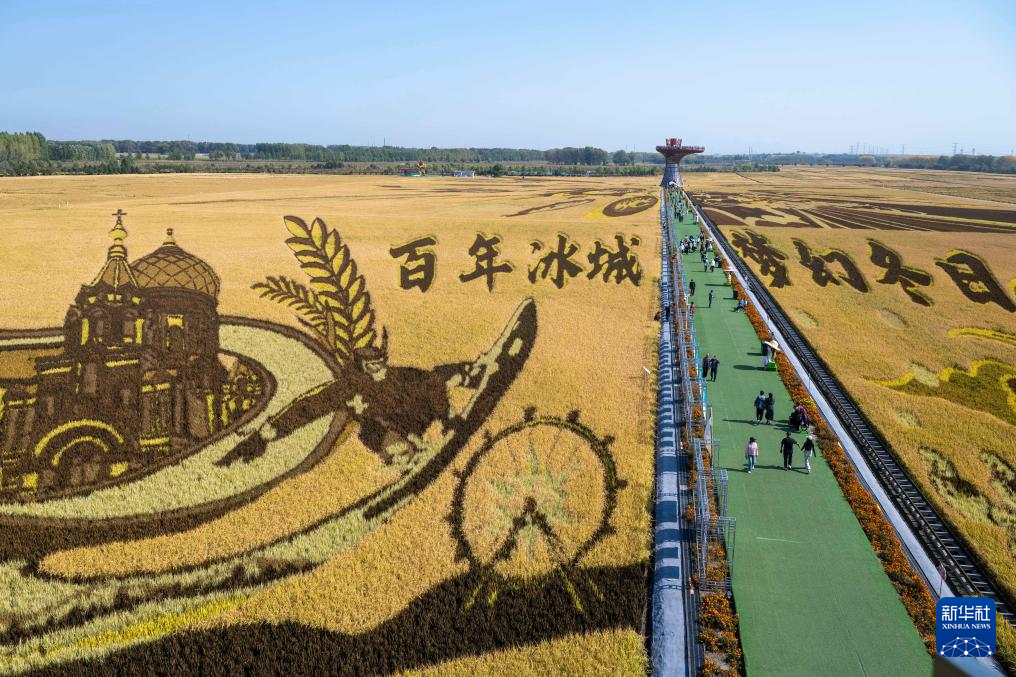 2025年中國農民豐收節黑龍江省主場活動啟幕